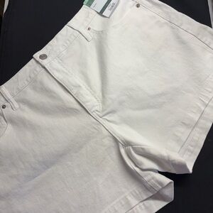 Terra & Sky Crisp White Shorts